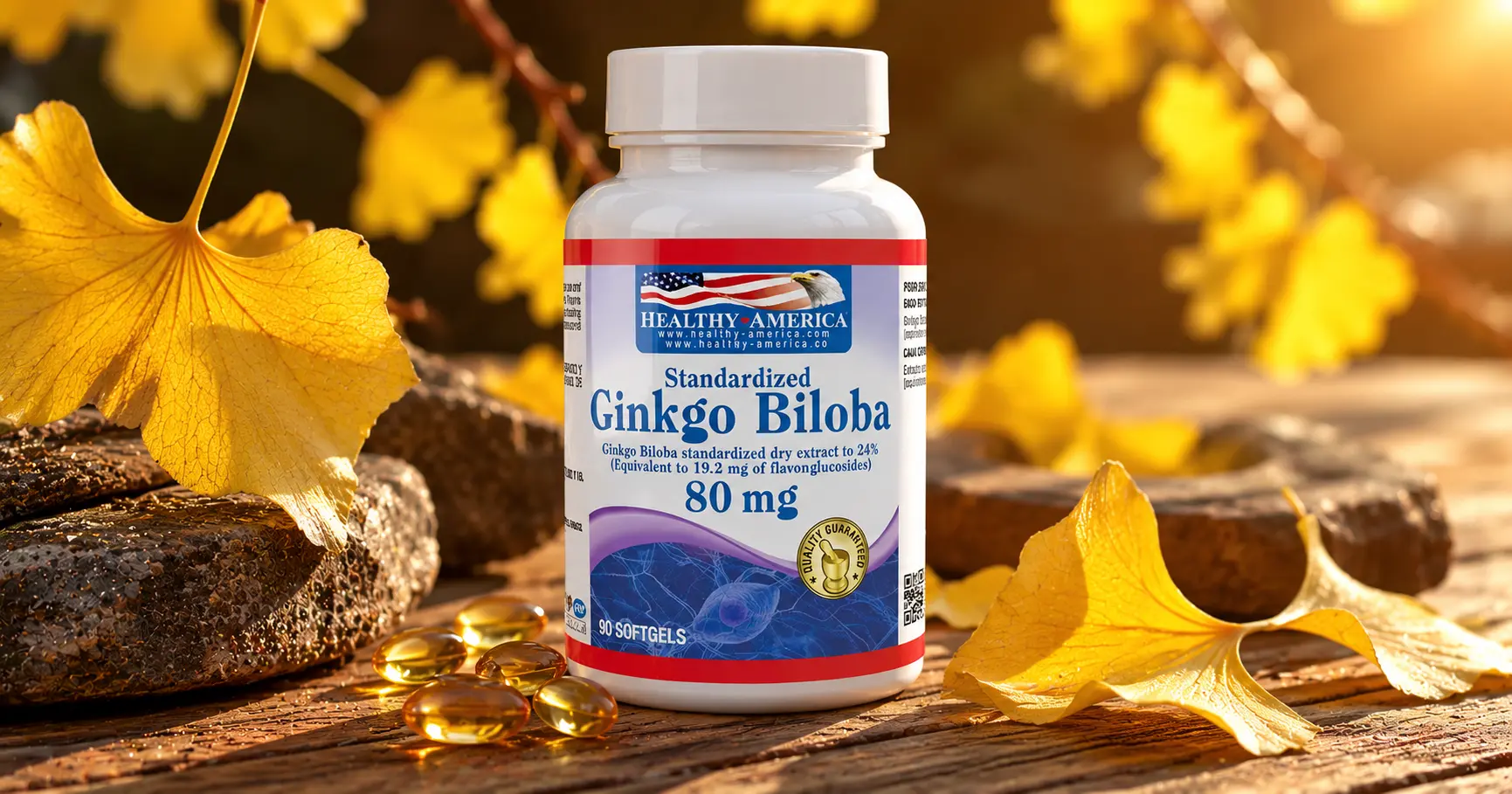 Ginkgo Biloba 80mg